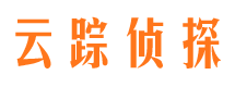 大关市侦探公司